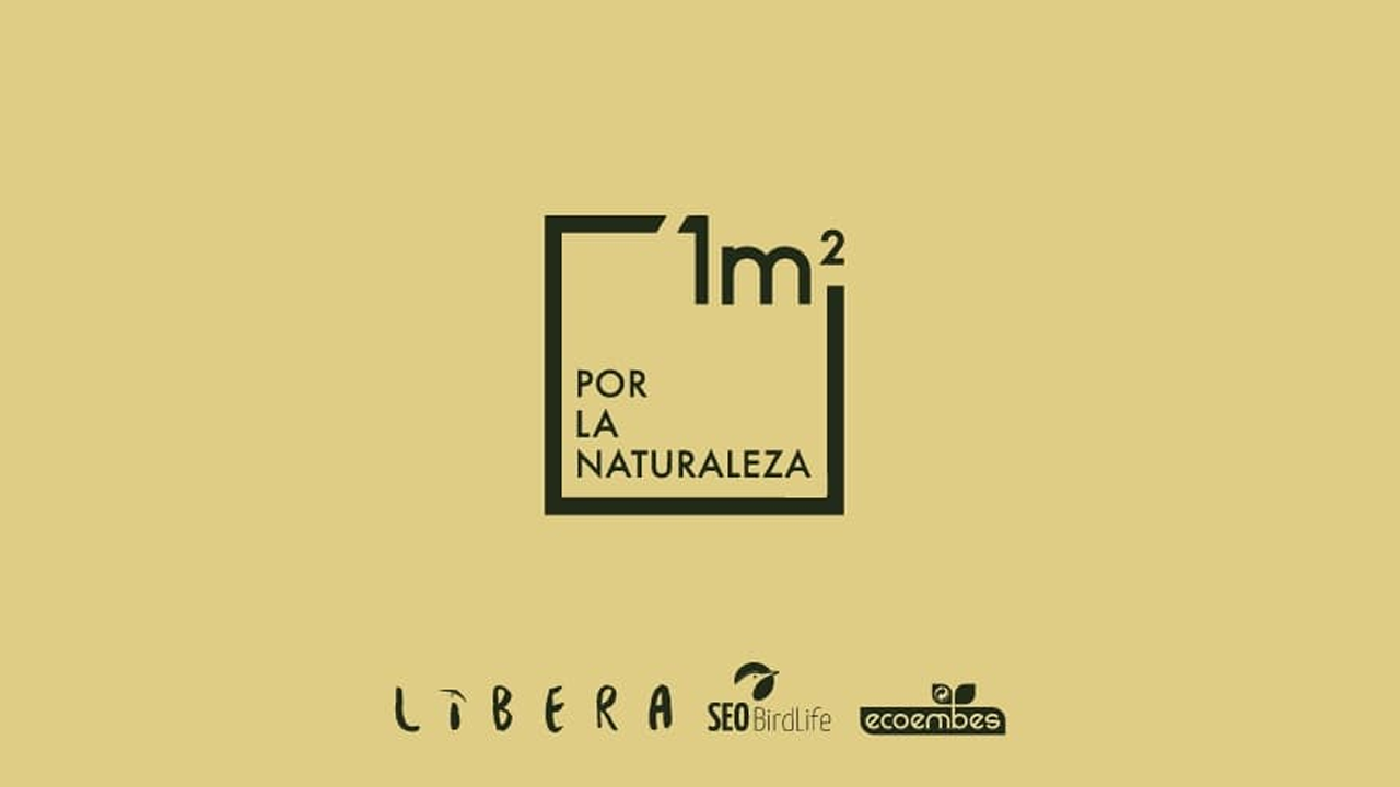 Hacemos Camino - Cabreiroá