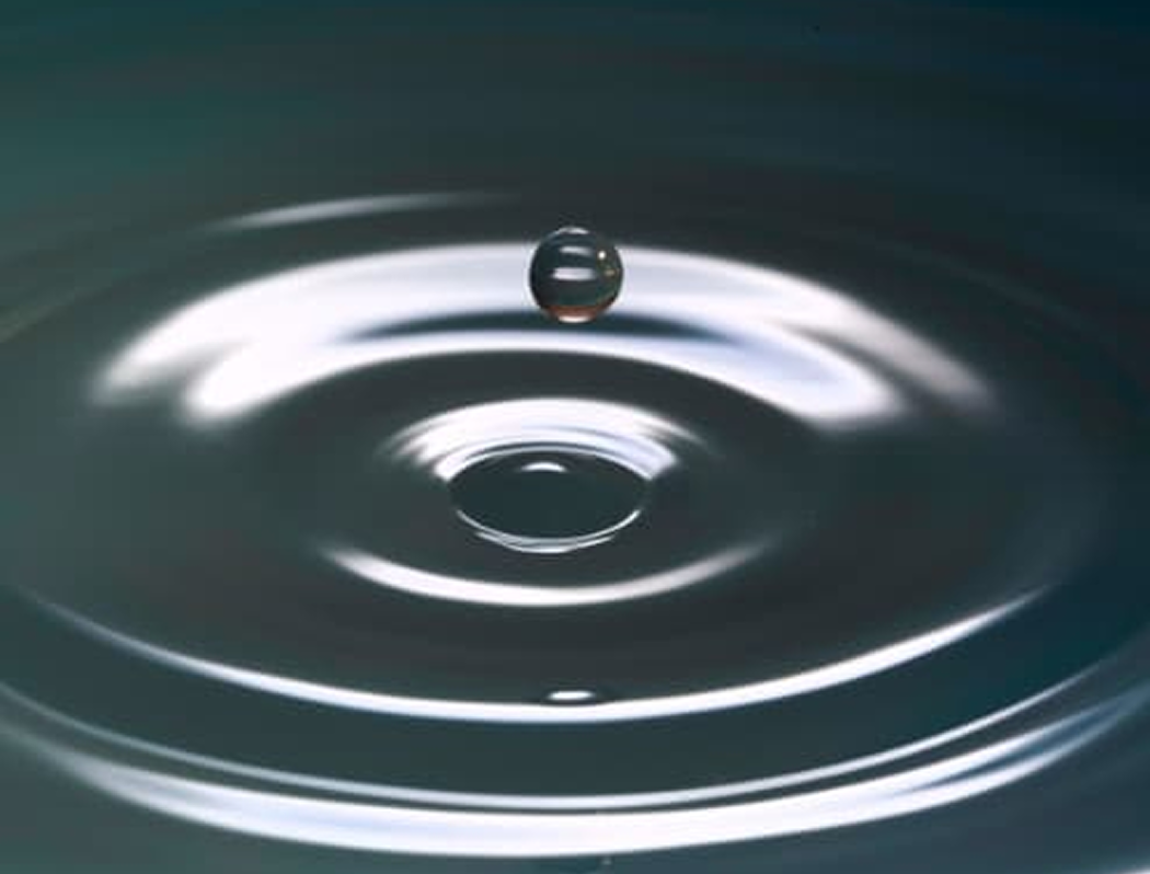 Proyecto Origen - Galería - Cabreiroá